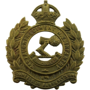 WW1 New Zealand Army 3rd Auckland Regiment Cap Badge