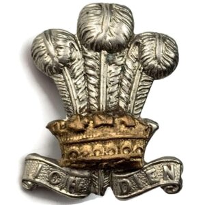 WW1 Leinster Regiment Irish Collar Badge