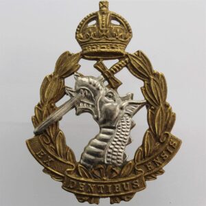 WW2 Royal Army Dental Corps RADC Dentist Cap Badge