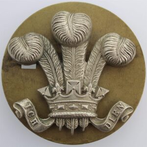 Original 10th Royal Hussars Regiment NCOs Arm / Sleeve Cap Badge