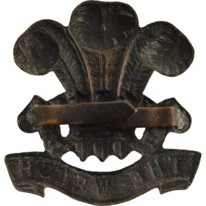 WW2 Welch Regiment (Welsh) OFFICERS Bronze Cap Badge