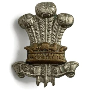 WW1 Leinster Regiment Irish Collar Badge