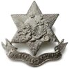 The Barbados Regiment British Colonial Cap Badge