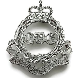 The Queens Bays 2nd Dragoon Guards Large NCO's Sleeve / Arm Chrome Rank Badge - Queens Crown
