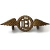 WW2 Royal Air Force Dental Branch RAF Dentist Corps Collar Badge