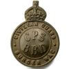 South African Civilian Guard Protection Service Africa Cap Badge