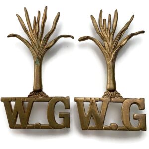 Welsh Guards Regiment Shoulder Title PAIR