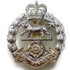 Hampshire Regiment Staybrite Anodised Cap Badge - Staybright