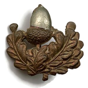 The Cheshire Regiment Collar Badge