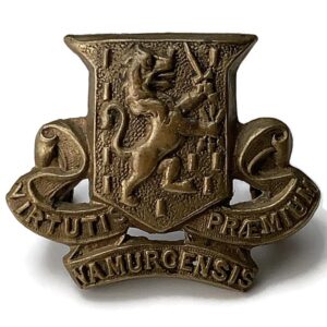 Royal Irish Regiment Collar Badge