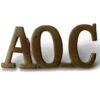 WW1 Army Ordnance Corps AOC Shoulder Title