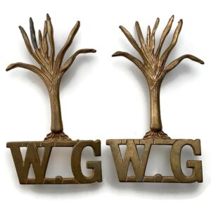 Welsh Guards Regiment Shoulder Title PAIR