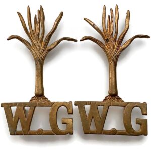 Welsh Guards Regiment Shoulder Title PAIR