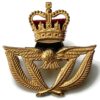 Royal Air Force RAF WARRANT OFFICERS Cap Badge - Queens Crown