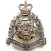 Hampshire & Isle of Wight Territorials Regiment Staybrite Anodised Cap Badge - Staybright
