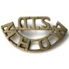 Mhow India Officers Training School OTS British Indian Army Shoulder Title