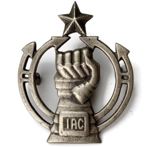Indian Armoured Corps IAC British Imperial India Army Cap Badge