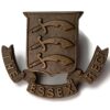 The Essex Regiment OFFICERS Bronze Collar Badge