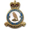 120 Squadron Royal Air Force RAF Lapel Badge