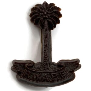WW2 Royal West African Frontier Force RWAFF PLASTIC Economy Issue Cap Badge