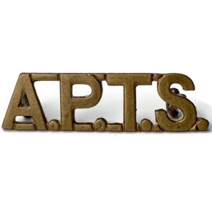 Royal Army Physical Training Staff Corps APTS Shoulder Title