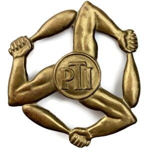 Physical Training Instructor PTI Proficiency Arm / Sleeve Trade Badge