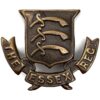 The Essex Regiment OFFICERS Bronze Collar Badge