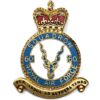 60 Squadron Royal Air Force PLAQUE Badge RAF