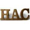 Honourable Artillery Company HAC Shoulder Title
