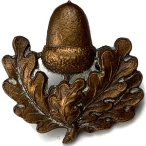 The Cheshire Regiment OFFICERS Bronze Collar Badge