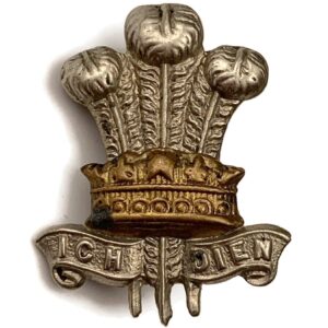 WW1 Leinster Regiment Irish Collar Badge