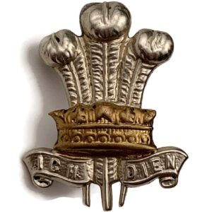 WW1 Leinster Regiment Irish Collar Badge