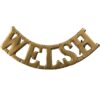 WW1 Welsh Regiment (Welch) Shoulder Title