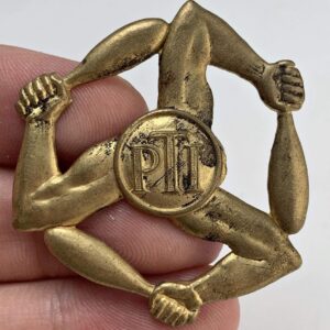 Physical Training Instructor PTI Proficiency Arm / Sleeve Trade Badge