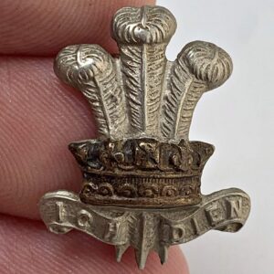 WW1 Leinster Regiment Irish Collar Badge