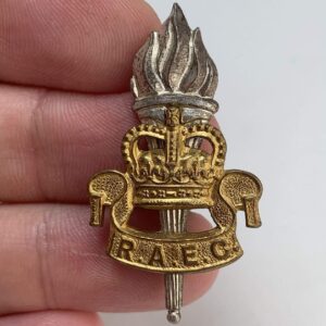 Royal Army Educational Corps GILT Officers RAEC Cap Badge - Queens Crown