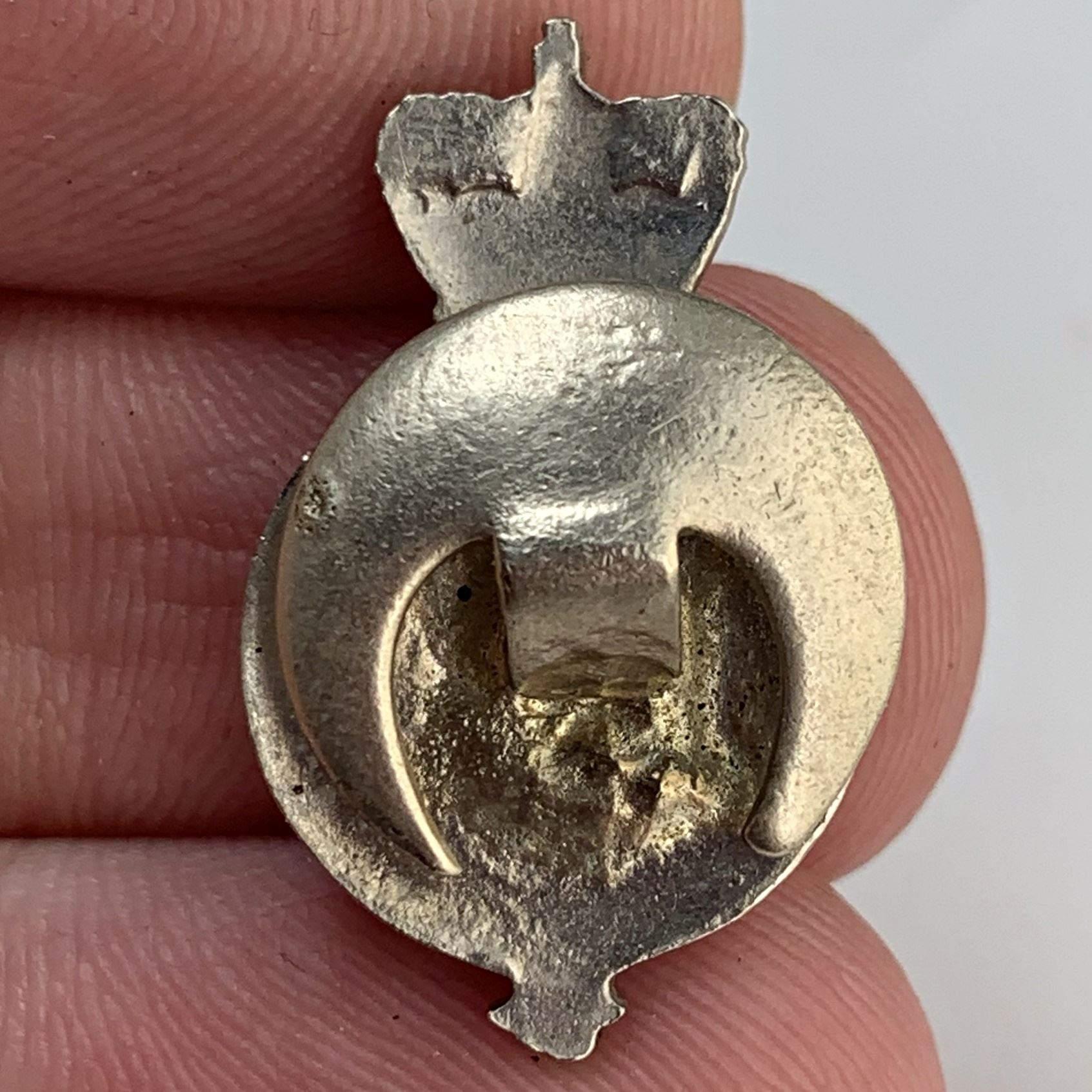 Army Emergency Reserve AER Lapel Badge - British Military Badges