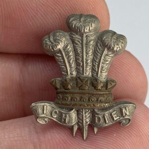 WW1 Leinster Regiment Irish Collar Badge