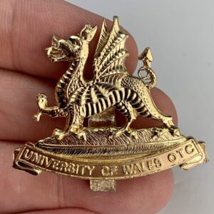 University of Wales OTC Officers Training Corps Staybrite Anodised Cap Badge - Staybright