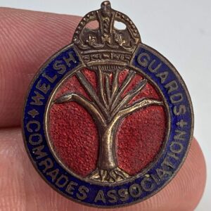 Welsh Guards Regiment Old Comrades Association OCA Lapel Badge