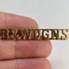Berkshire and Westminster Dragoons Regiment Shoulder Title