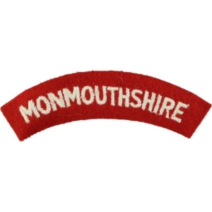 1950s National Service Monmouthshire Regiment Cloth Shoulder Title Badge Flash
