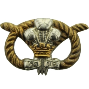 VICTORIAN North Staffordshire Regiment Collar Badge