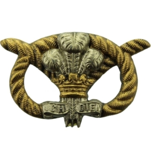 VICTORIAN North Staffordshire Regiment Collar Badge