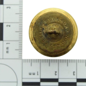 VICTORIAN 104th Regiment of Foot (Bengal Fusiliers) 1855-1881 OFFICERS Irish Tunic Button - 25mm