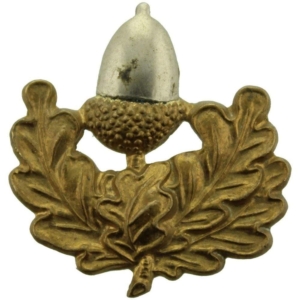 The Cheshire Regiment Collar Badge