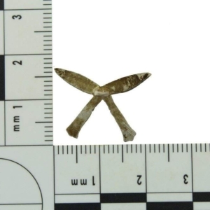 WW2 Gurkha Rifles Regiment Brigade Collar Badge