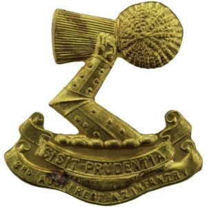 WW1 New Zealand Army 3rd Auckland Regiment Collar Badge