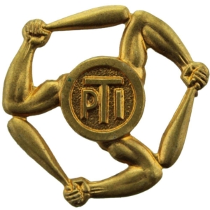 WW2 Physical Training Instructor PTI Proficiency Arm / Sleeve Trade Badge