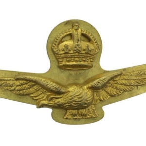 WW2 Royal Air Force RAF Side / Forage 2-Piece Cap Badge